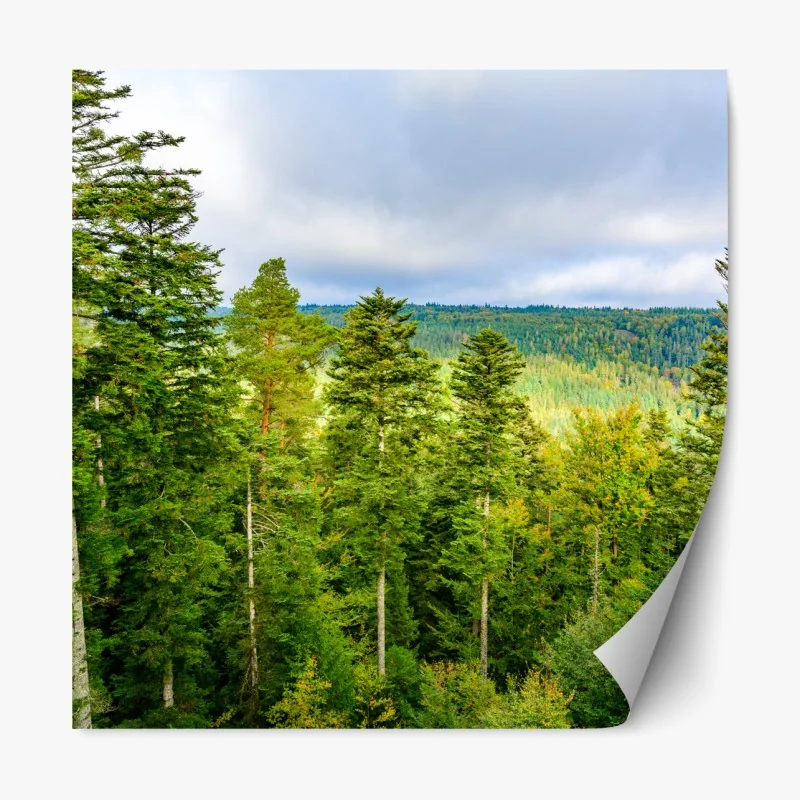 Naklejka repozycjonowalna art deco geometryczny wzór w złocie na czarnym tle – Wallissimo®