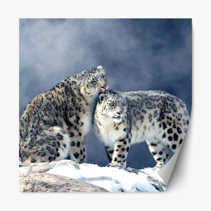 Naklejka repozycjonowalna Pawilon Tengwang o wschodzie słońca – Wallissimo®