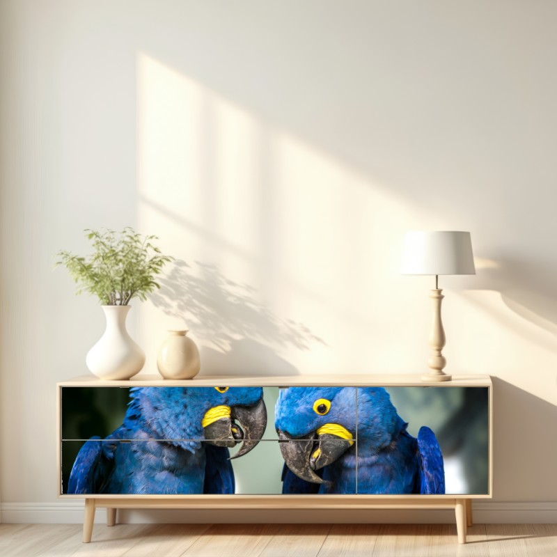 Naklejka repozycjonowalna para niebieskich ary - portret z bliska – Wallissimo® Naklejka repozycjonowalna para niebieskich ary - portret z bliska – Wallissimo®