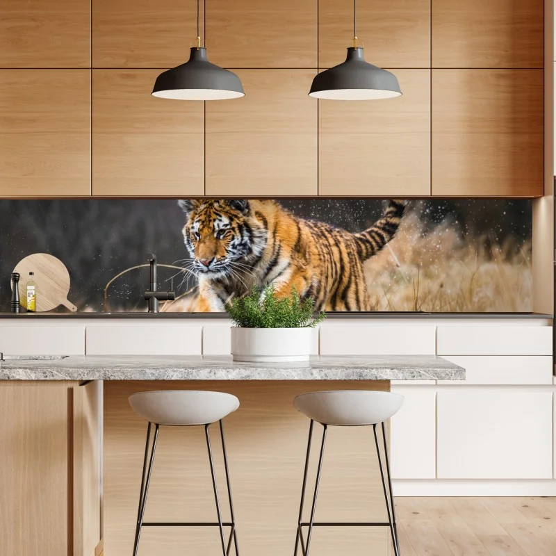 Naklejka repozycjonowalna tygrys Syberyjski w biegu – Wallissimo® Naklejka repozycjonowalna tygrys Syberyjski w biegu – Wallissimo®