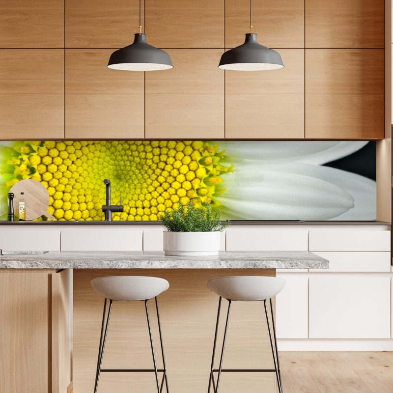 Naklejka repozycjonowalna sucha protea w sepii – Wallissimo®