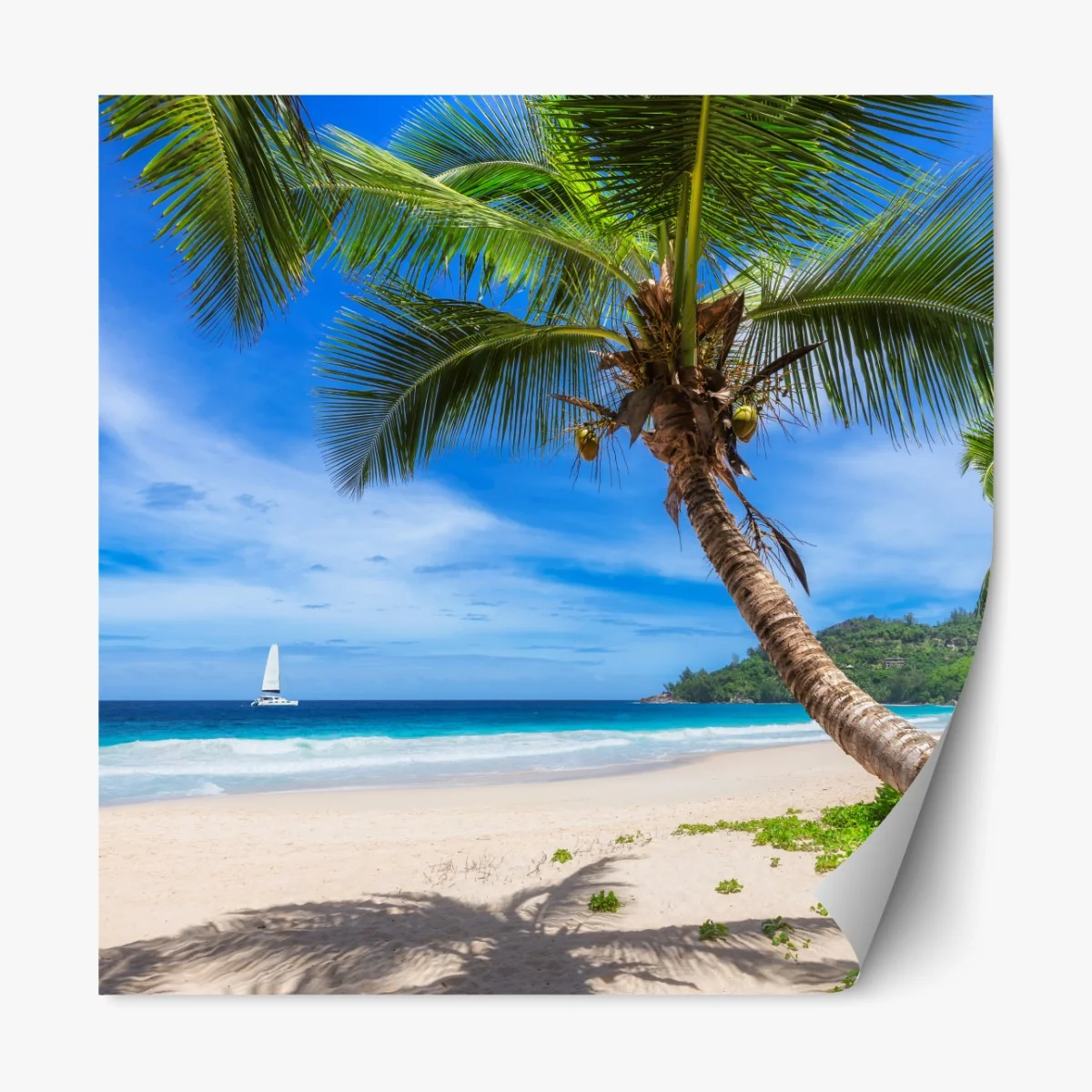 Naklejka repozycjonowalna tropikalna plaża z palmą – Wallissimo® Naklejka repozycjonowalna tropikalna plaża z palmą – Wallissimo®