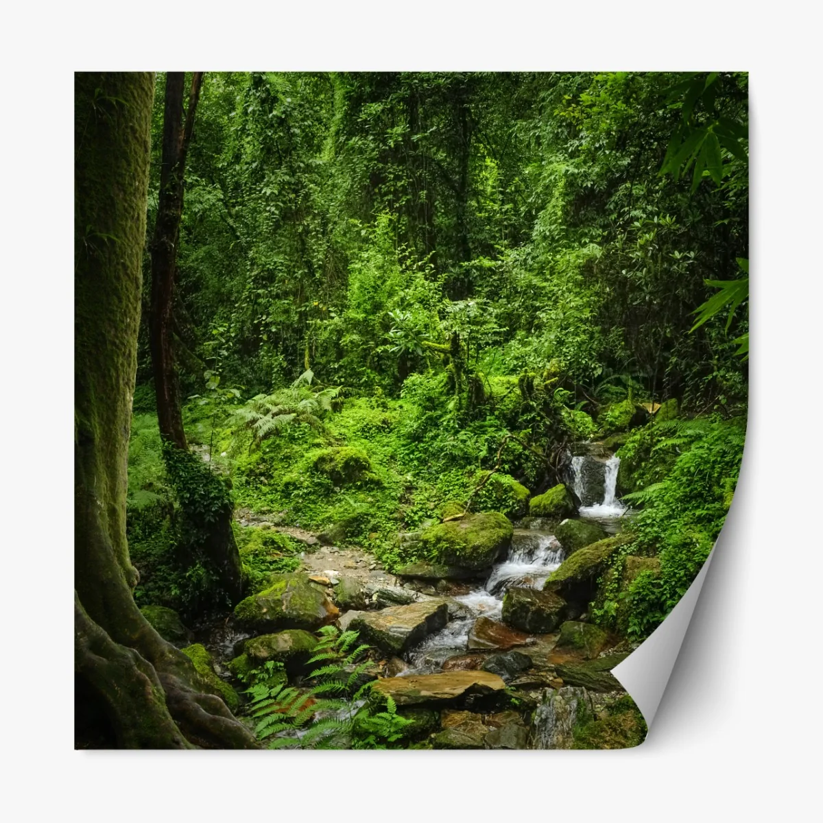 Naklejka repozycjonowalna bujny zielony leśny wodospad – Wallissimo® Naklejka repozycjonowalna bujny zielony leśny wodospad – Wallissimo®