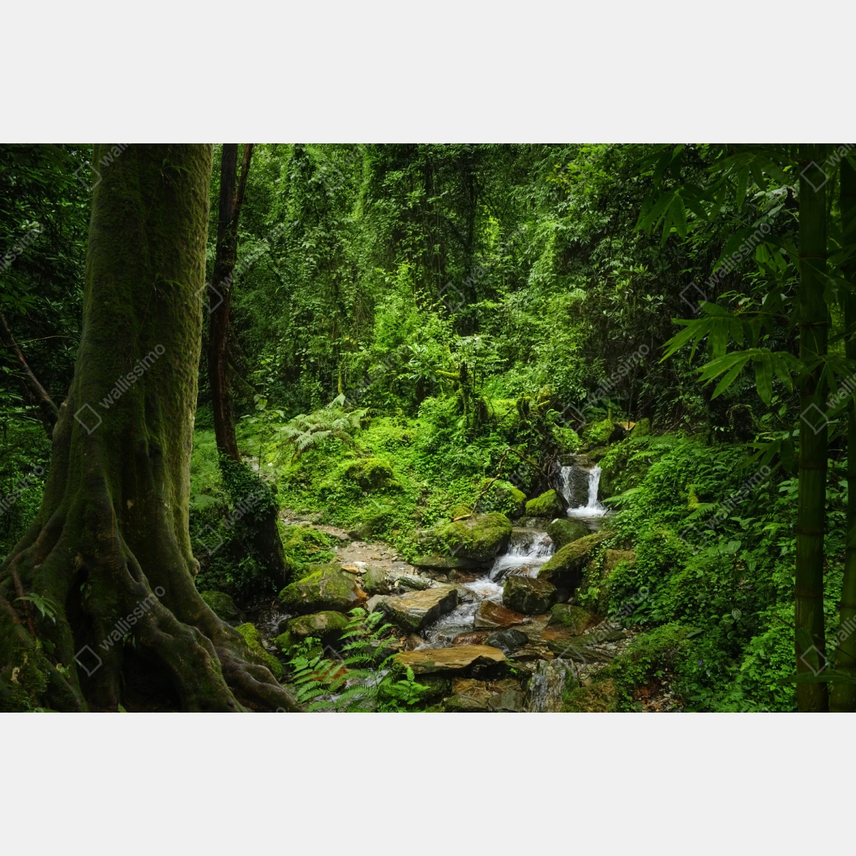 Naklejka repozycjonowalna bujny zielony leśny wodospad – Wallissimo® Naklejka repozycjonowalna bujny zielony leśny wodospad – Wallissimo®