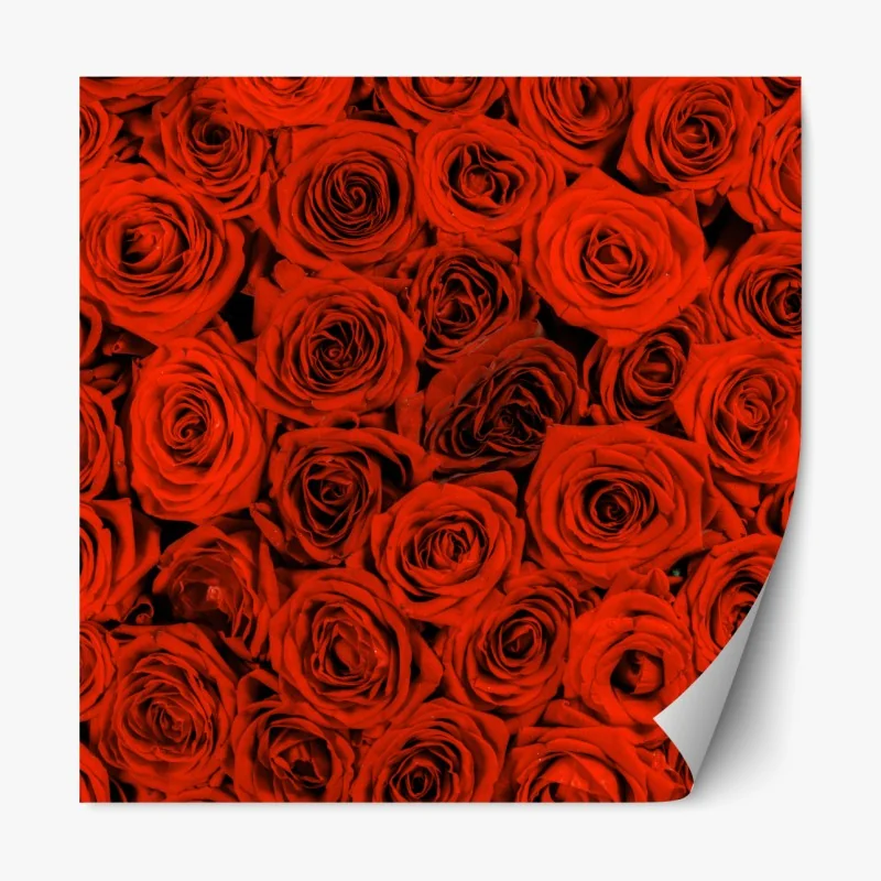 Naklejka repozycjonowalna bujny bukiet czerwonych róż