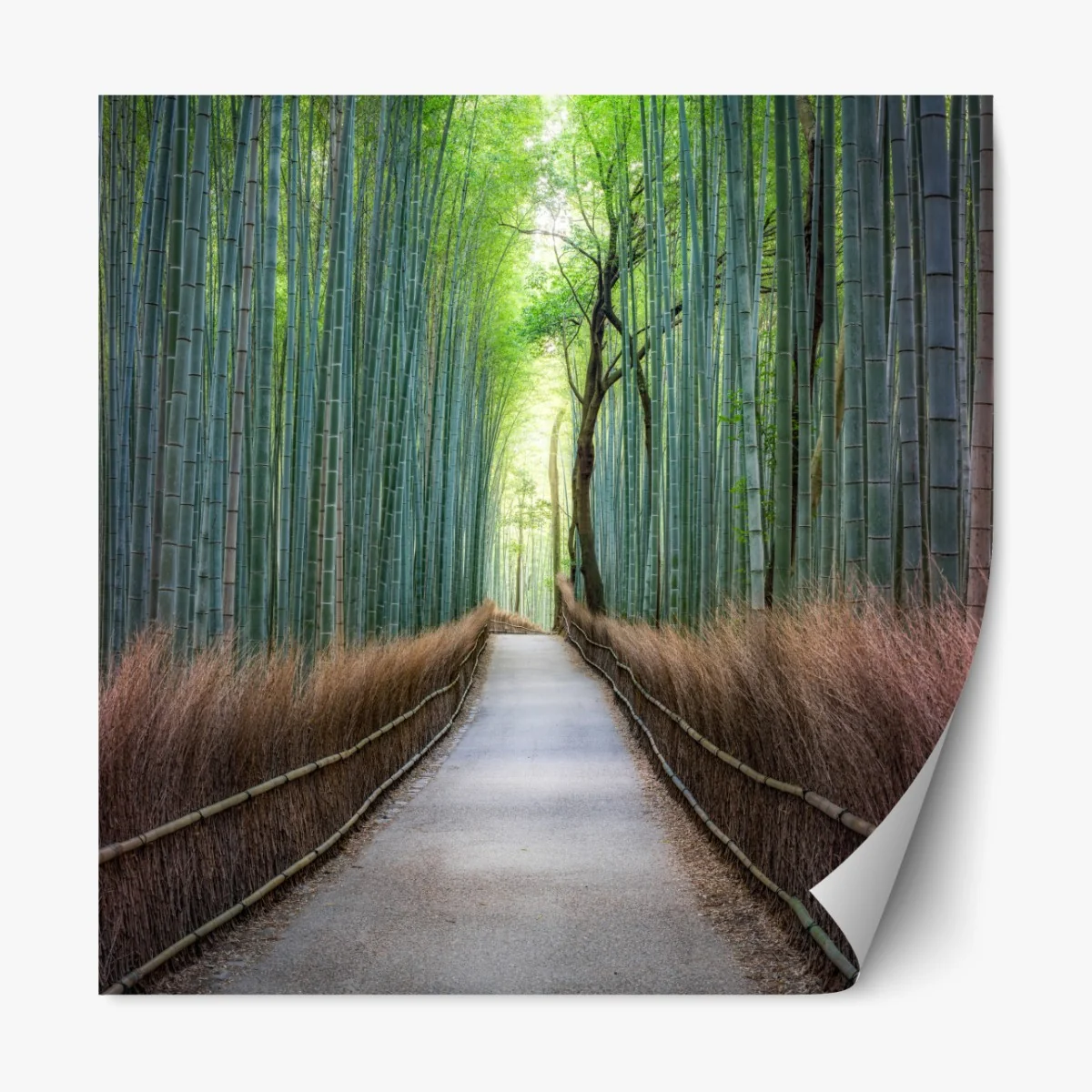 Naklejka repozycjonowalna spokojna ścieżka w lesie bambusowym – Wallissimo® Naklejka repozycjonowalna spokojna ścieżka w lesie bambusowym – Wallissimo®