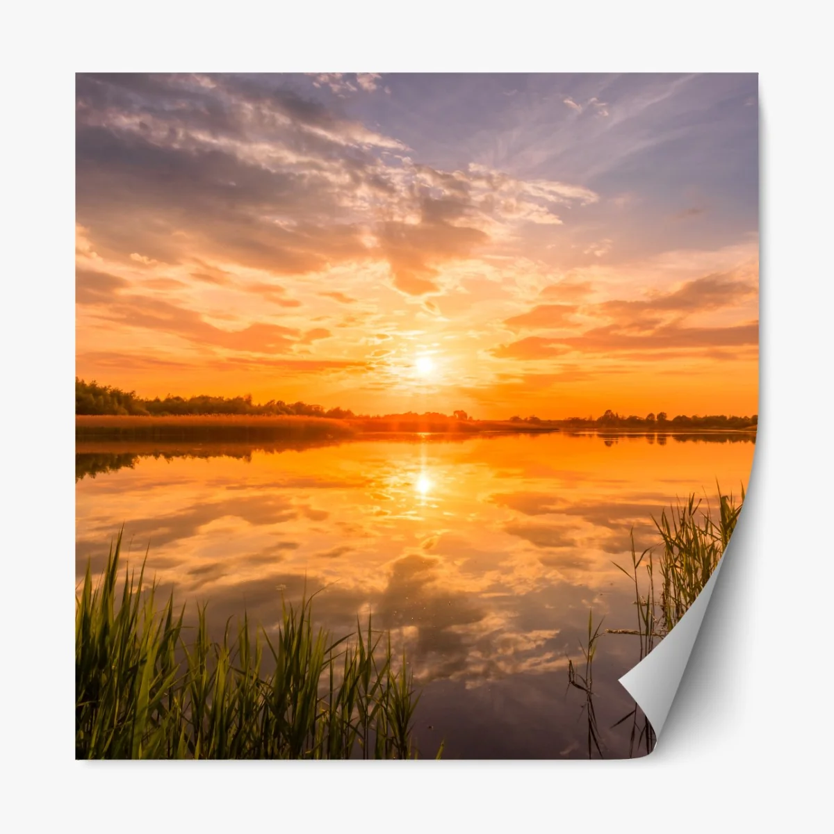 Naklejka repozycjonowalna złoty zachód słońca nad spokojnym jeziorem – Wallissimo® Naklejka repozycjonowalna złoty zachód słońca nad spokojnym jeziorem – Wallissimo®