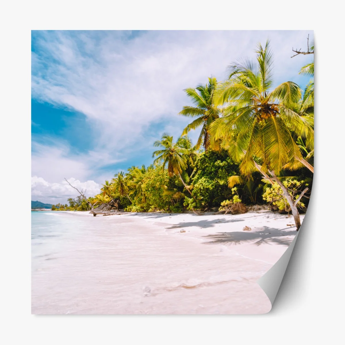 Naklejka repozycjonowalna tropikalna plaża z palmami – Wallissimo® Naklejka repozycjonowalna tropikalna plaża z palmami – Wallissimo®