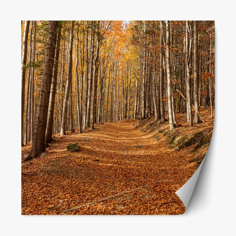 Naklejka repozycjonowalna słoneczny dzień na plaży – Wallissimo®