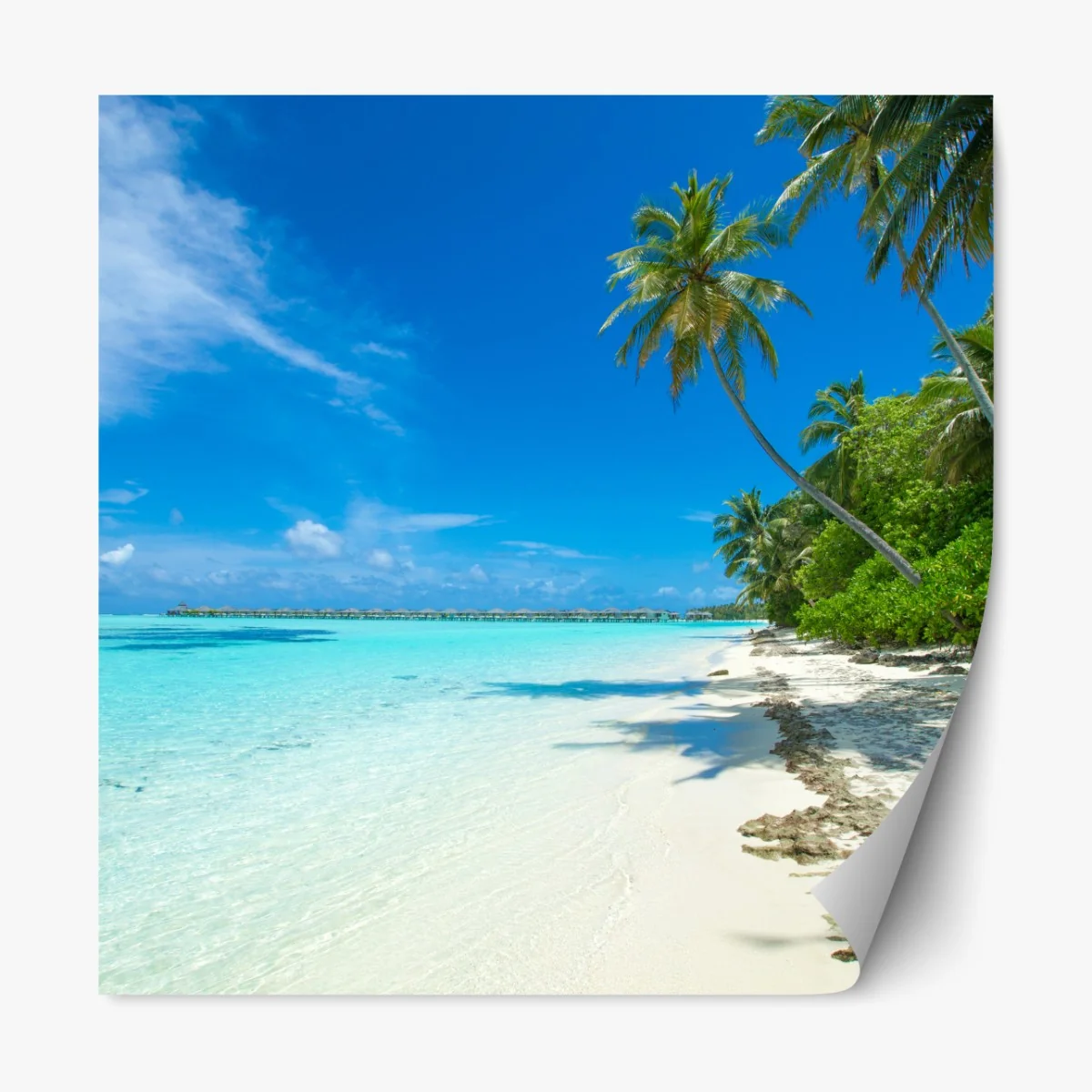 Naklejka repozycjonowalna tropikalna plaża na Malediwach – Wallissimo® Naklejka repozycjonowalna tropikalna plaża na Malediwach – Wallissimo®