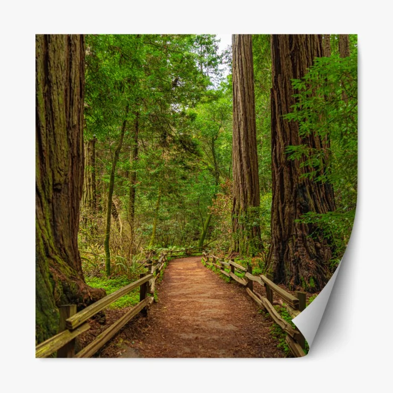 Naklejka repozycjonowalna złote fale na czarnym tle — abstrakcyjna kompozycja – Wallissimo®