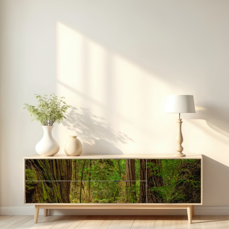 Naklejka repozycjonowalna majestatyczna ścieżka w lesie sekwoi – Wallissimo® Naklejka repozycjonowalna majestatyczna ścieżka w lesie sekwoi – Wallissimo®