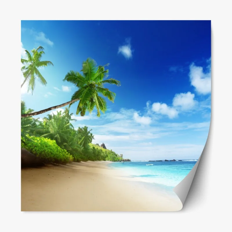 Naklejka repozycjonowalna trzy czerwone tulipany na czarnym tle – Wallissimo®