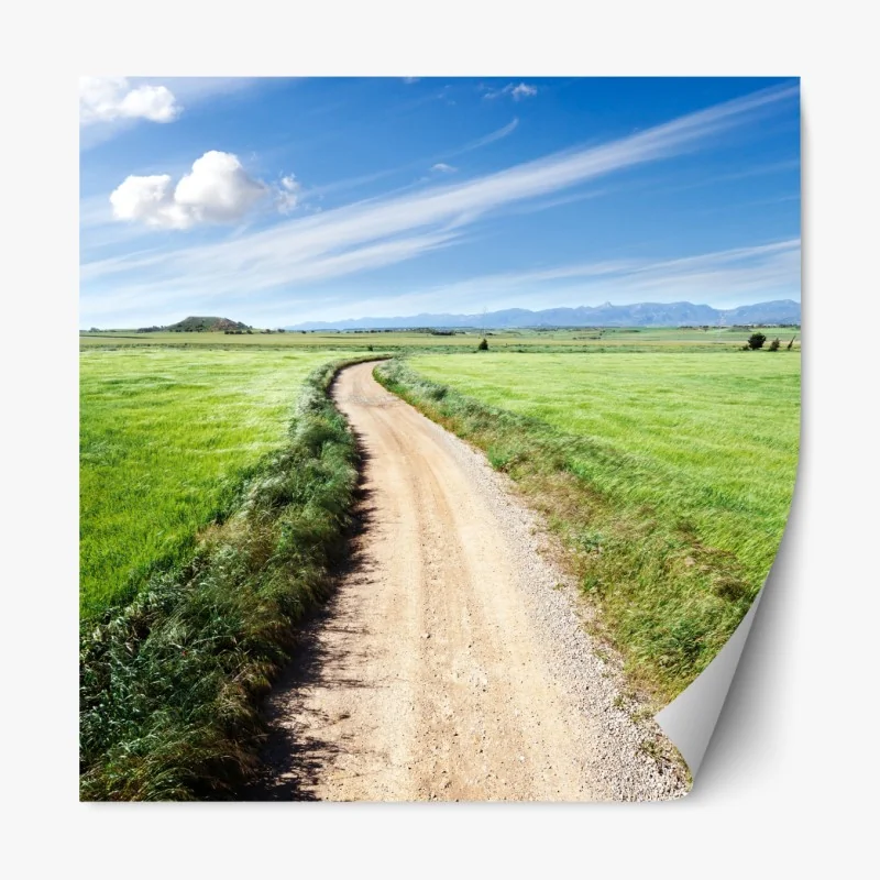 Naklejka repozycjonowalna niebieski kwiatowy wzór toile – Wallissimo®