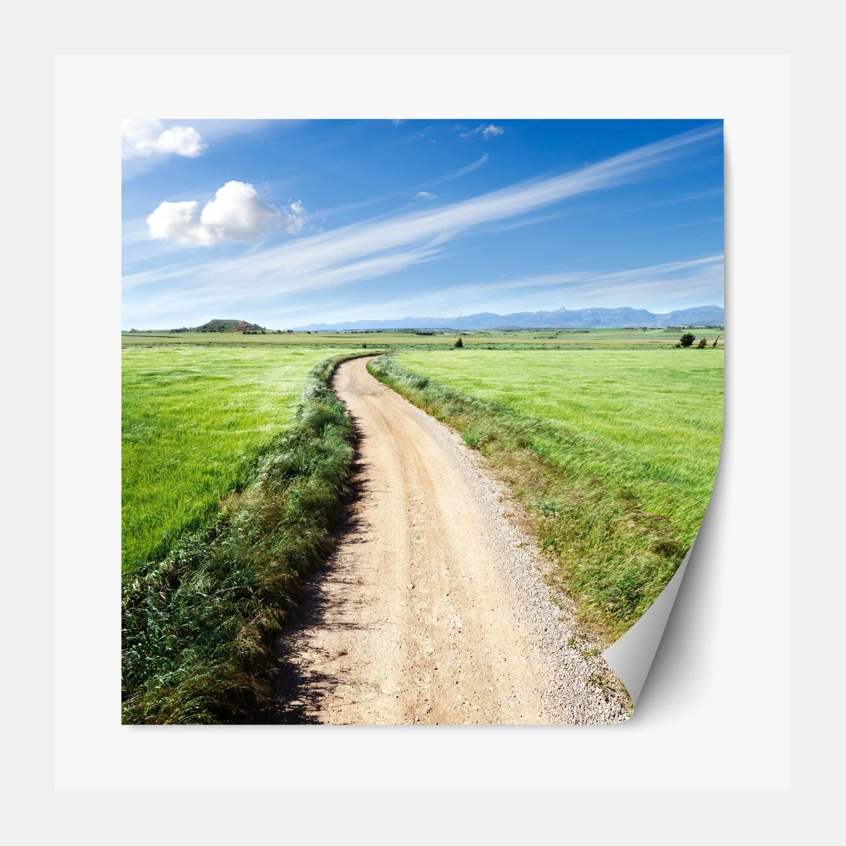 Naklejka repozycjonowalna wijąca się wiejska droga przez zielone łąki – Wallissimo® Naklejka repozycjonowalna wijąca się wiejska droga przez zielone łąki – Wallissimo®