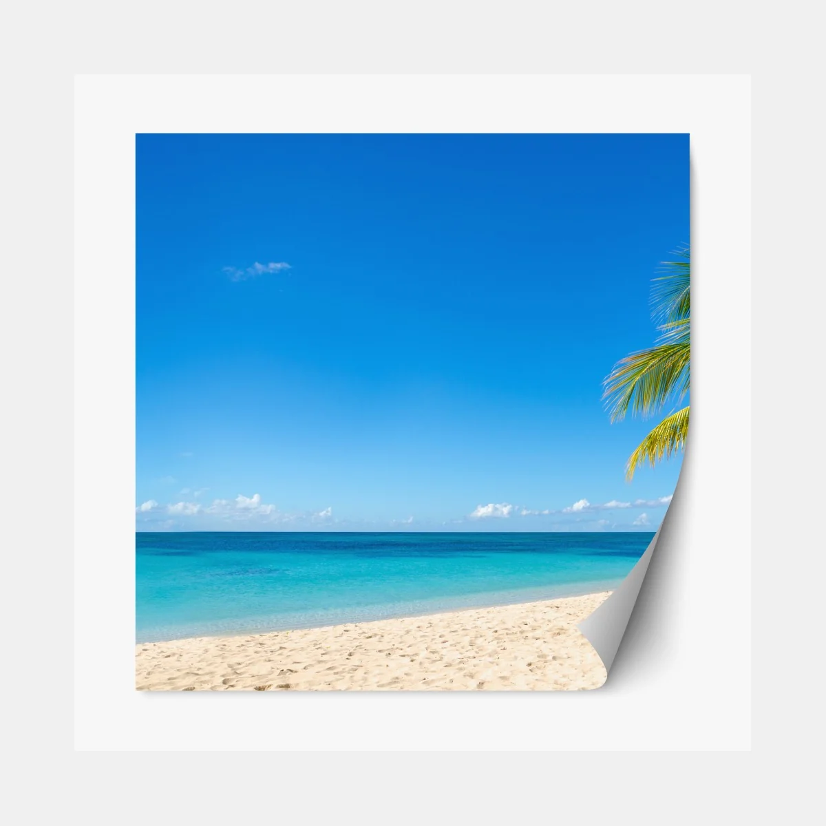 Naklejka repozycjonowalna tropikalna plaża z turkusową wodą i palmą – Wallissimo® Naklejka repozycjonowalna tropikalna plaża z turkusową wodą i palmą – Wallissimo®