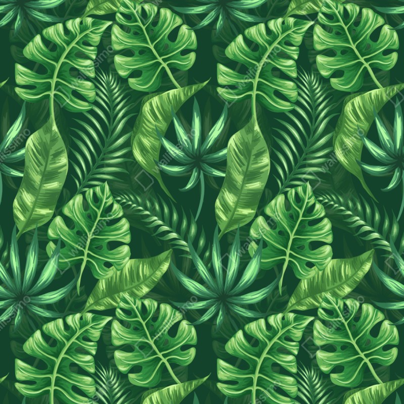 Naklejka repozycjonowalna tropikalny wzór z liśćmi monstery – Wallissimo® Naklejka repozycjonowalna tropikalny wzór z liśćmi monstery – Wallissimo®