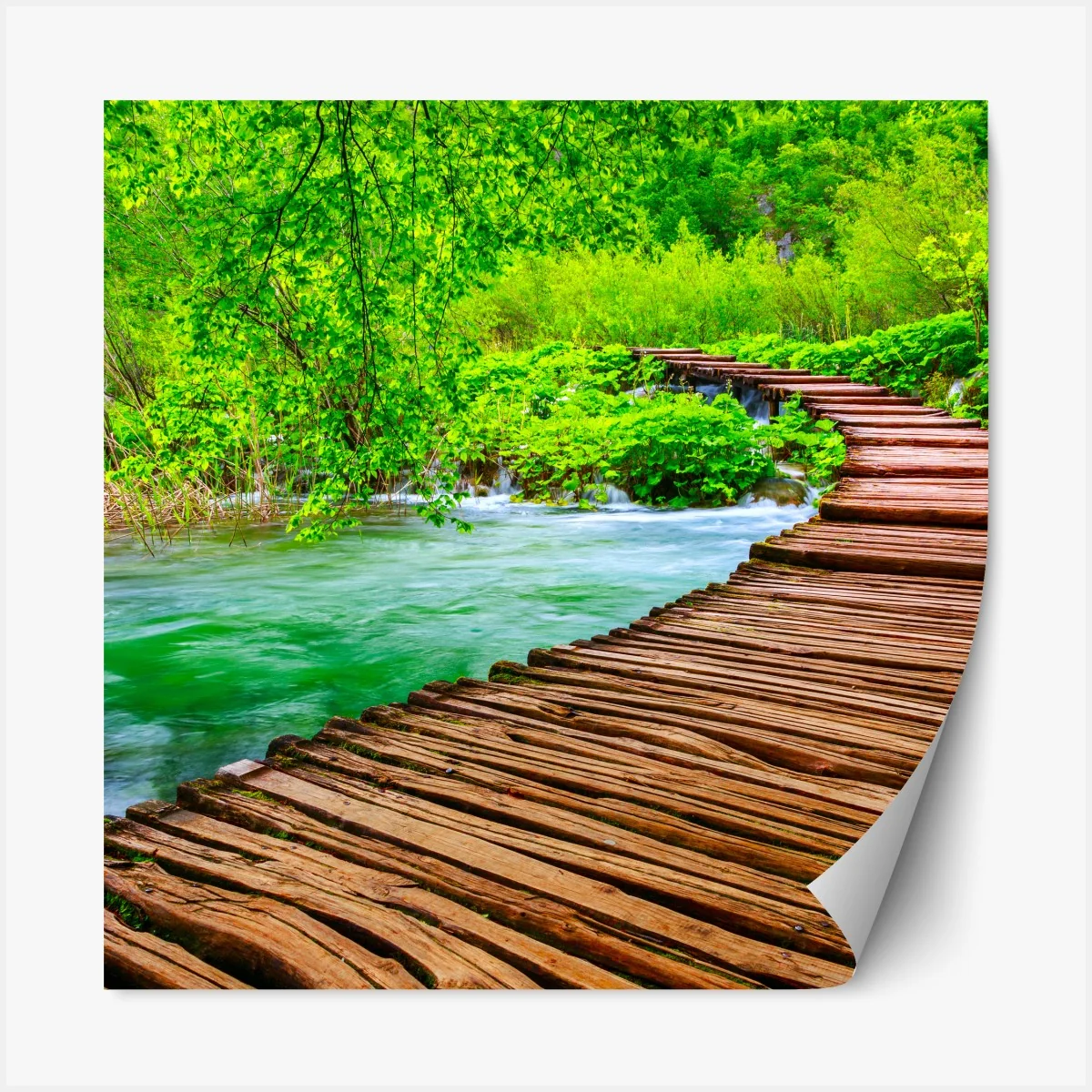Naklejka repozycjonowalna spokojna zielona kładka nad rzeką – Wallissimo® Naklejka repozycjonowalna spokojna zielona kładka nad rzeką – Wallissimo®