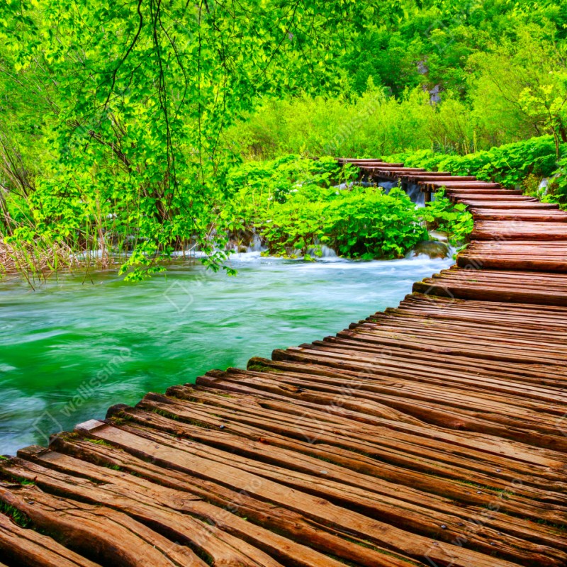 Naklejka repozycjonowalna spokojna zielona kładka nad rzeką – Wallissimo® Naklejka repozycjonowalna spokojna zielona kładka nad rzeką – Wallissimo®