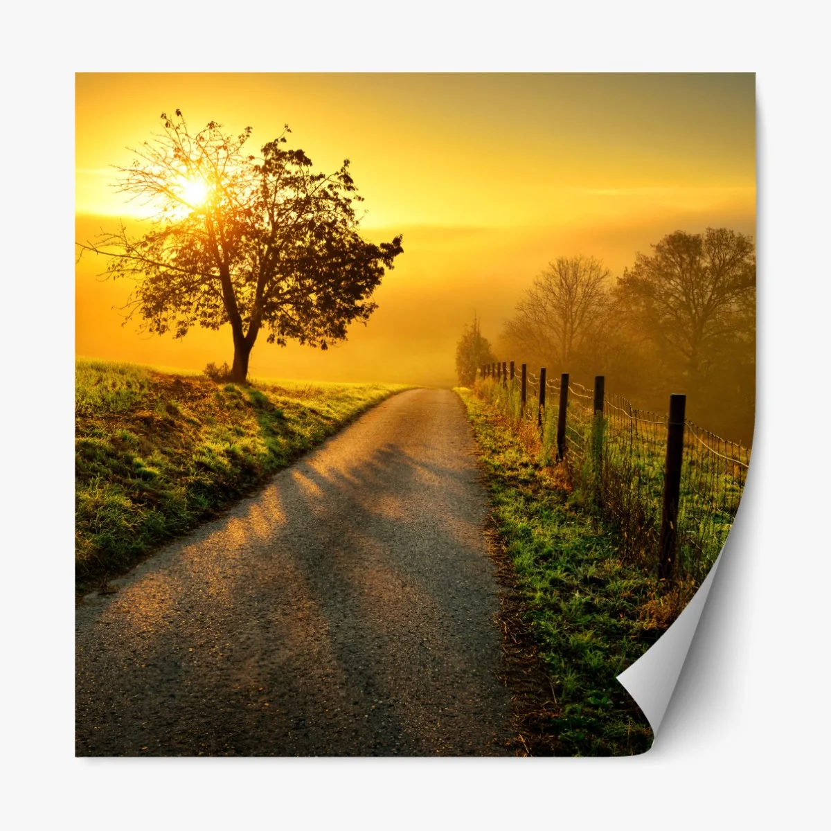 Naklejka repozycjonowalna słoneczna droga przez wiejską łąkę o świcie – Wallissimo® Naklejka repozycjonowalna słoneczna droga przez wiejską łąkę o świcie – Wallissimo®