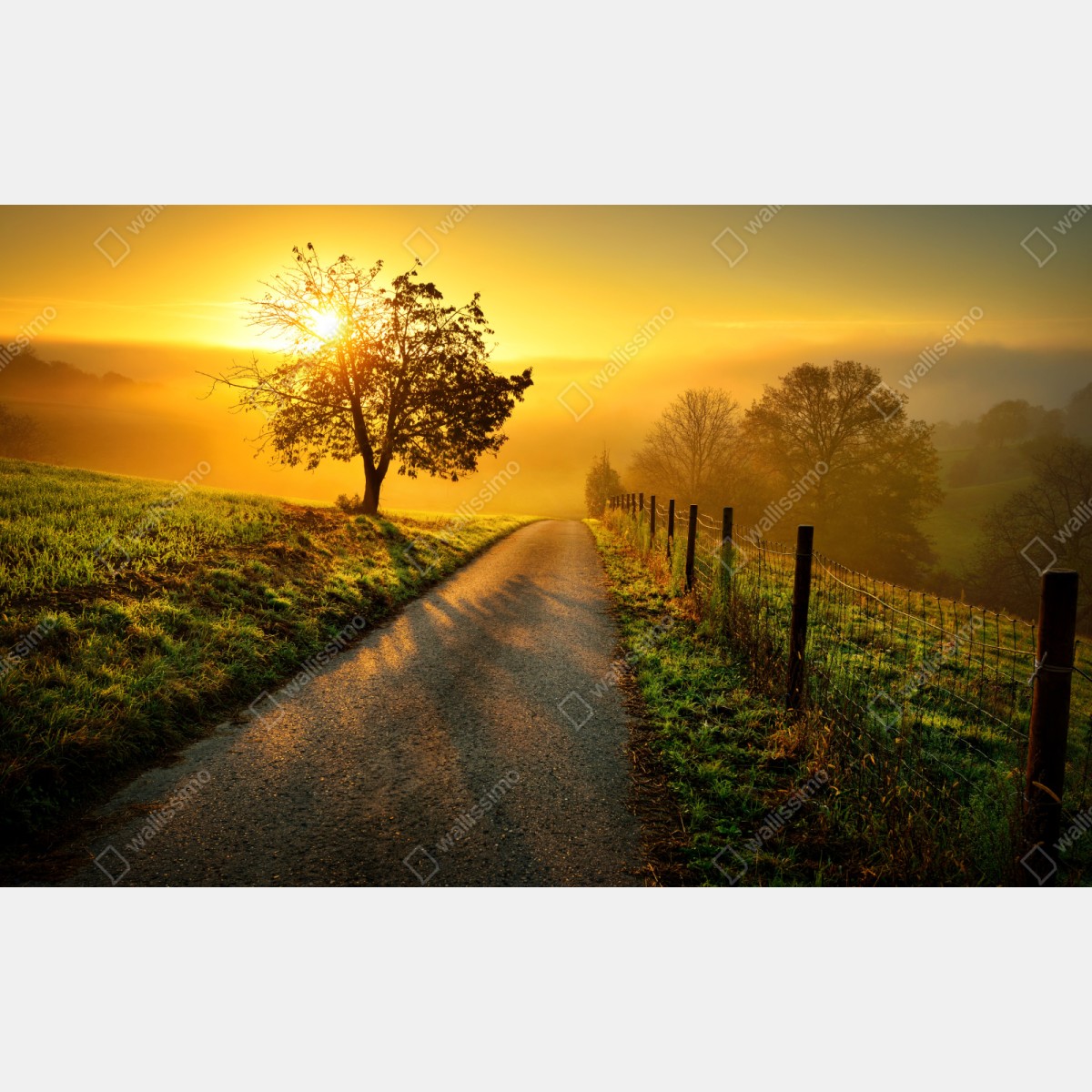 Naklejka repozycjonowalna słoneczna droga przez wiejską łąkę o świcie – Wallissimo® Naklejka repozycjonowalna słoneczna droga przez wiejską łąkę o świcie – Wallissimo®
