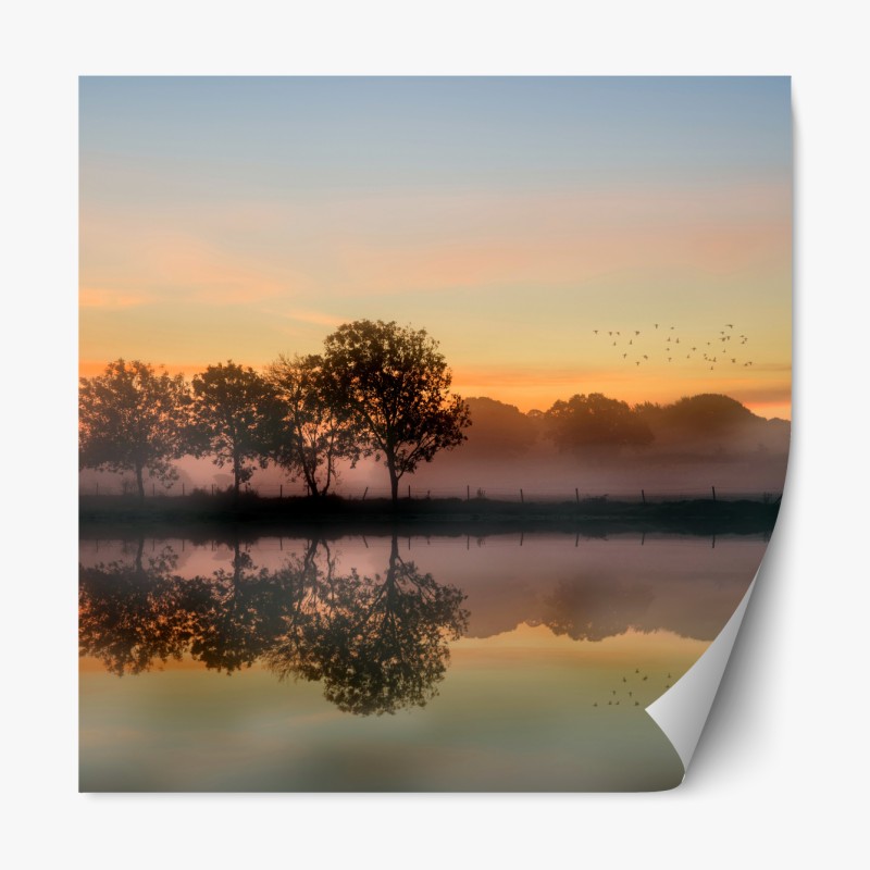 Naklejka repozycjonowalna akwarelowe liście eukaliptusa na ciemnym tle – Wallissimo®