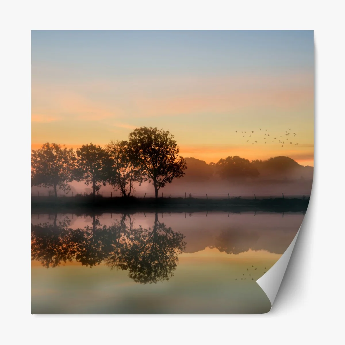 Naklejka repozycjonowalna mglisty jesienny wschód słońca nad Angielską wsią – Wallissimo® Naklejka repozycjonowalna mglisty jesienny wschód słońca nad Angielską wsią – Wallissimo®