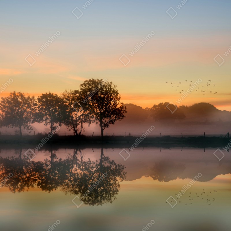 Naklejka repozycjonowalna mglisty jesienny wschód słońca nad Angielską wsią – Wallissimo® Naklejka repozycjonowalna mglisty jesienny wschód słońca nad Angielską wsią – Wallissimo®