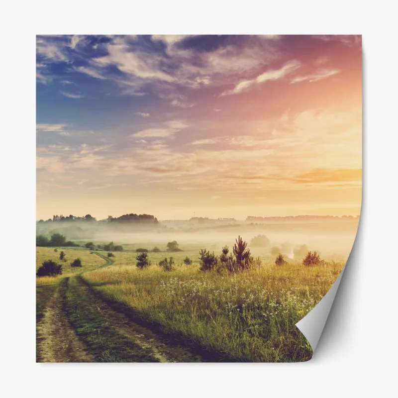 Naklejka repozycjonowalna mglisty wschód słońca nad wiejską łąką – Wallissimo® Naklejka repozycjonowalna mglisty wschód słońca nad wiejską łąką – Wallissimo®