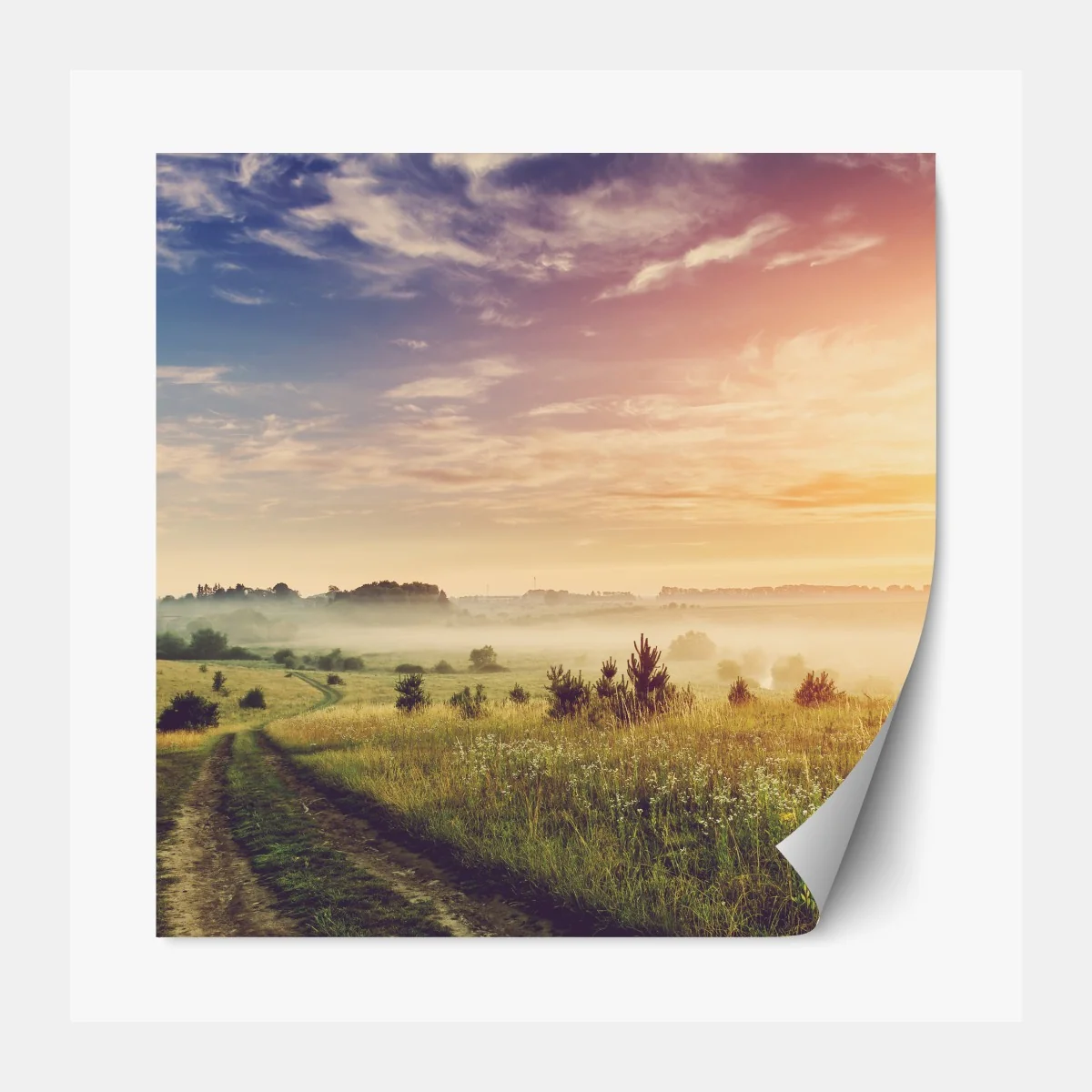 Naklejka repozycjonowalna mglisty wschód słońca nad wiejską łąką – Wallissimo® Naklejka repozycjonowalna mglisty wschód słońca nad wiejską łąką – Wallissimo®