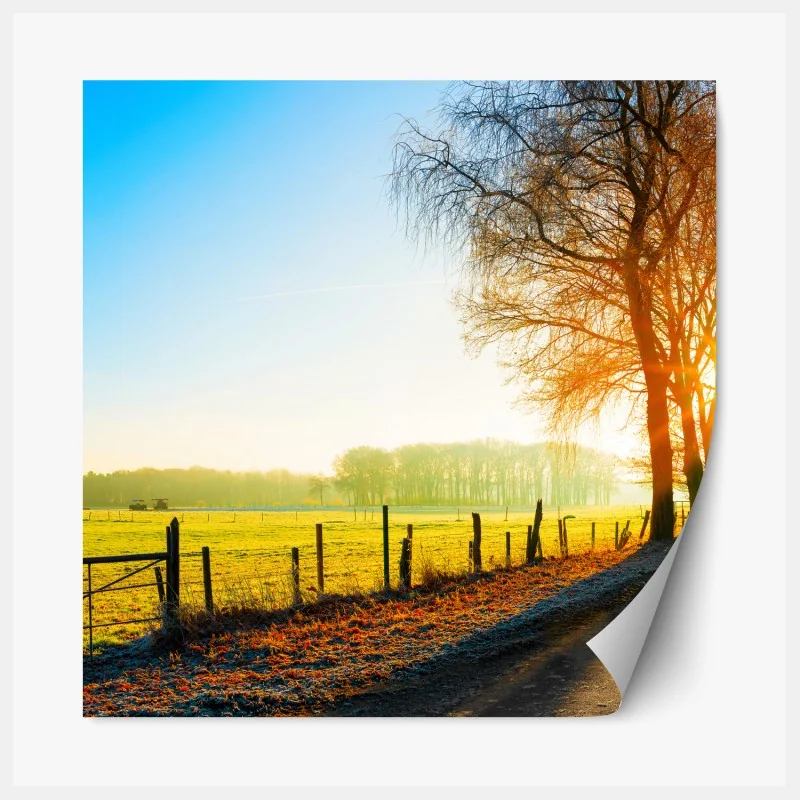 Naklejka repozycjonowalna portret czarnej pantery na czarnym tle – Wallissimo®