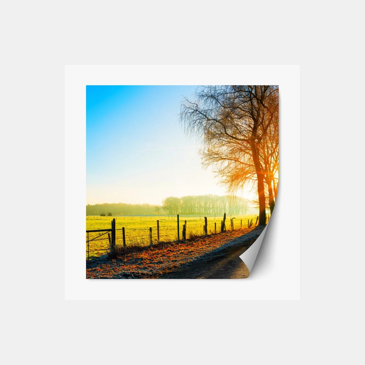 Naklejka repozycjonowalna słoneczna wiejska droga przez jesienną łąkę – Wallissimo® Naklejka repozycjonowalna słoneczna wiejska droga przez jesienną łąkę – Wallissimo®