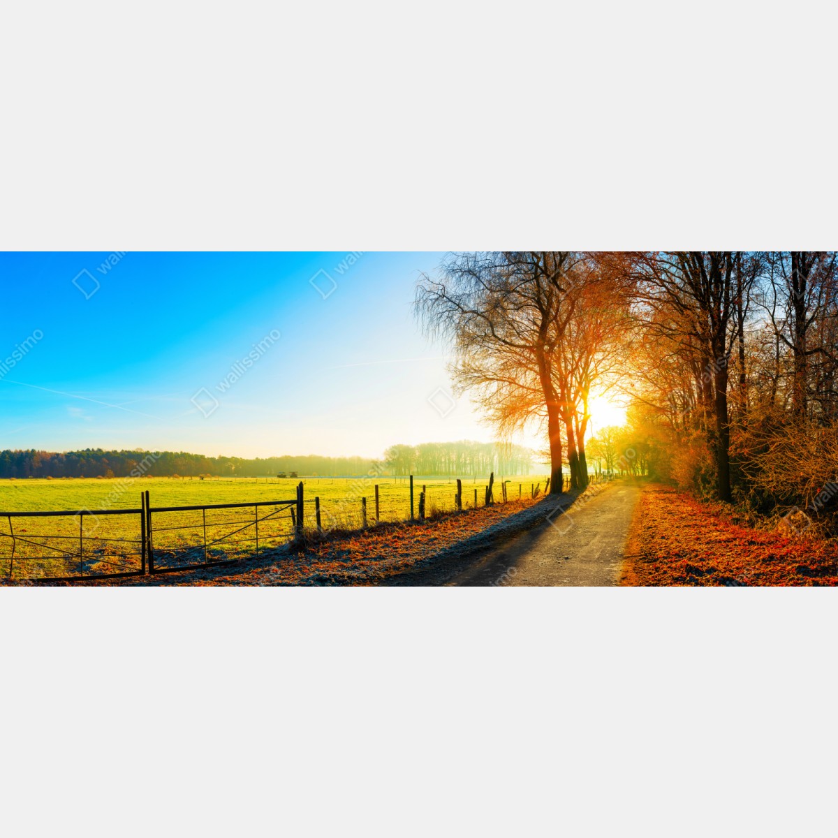 Naklejka repozycjonowalna słoneczna wiejska droga przez jesienną łąkę – Wallissimo® Naklejka repozycjonowalna słoneczna wiejska droga przez jesienną łąkę – Wallissimo®