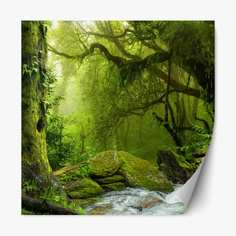 Naklejka repozycjonowalna zaczarowany zielony leśny strumień