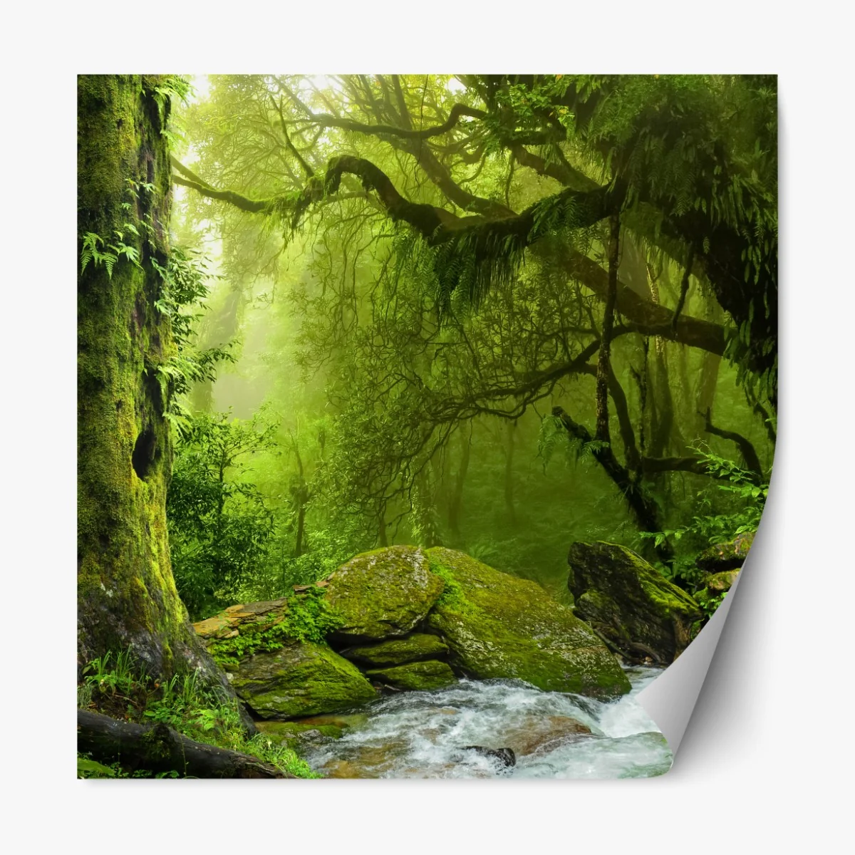Naklejka repozycjonowalna zaczarowany zielony leśny strumień – Wallissimo® Naklejka repozycjonowalna zaczarowany zielony leśny strumień – Wallissimo®