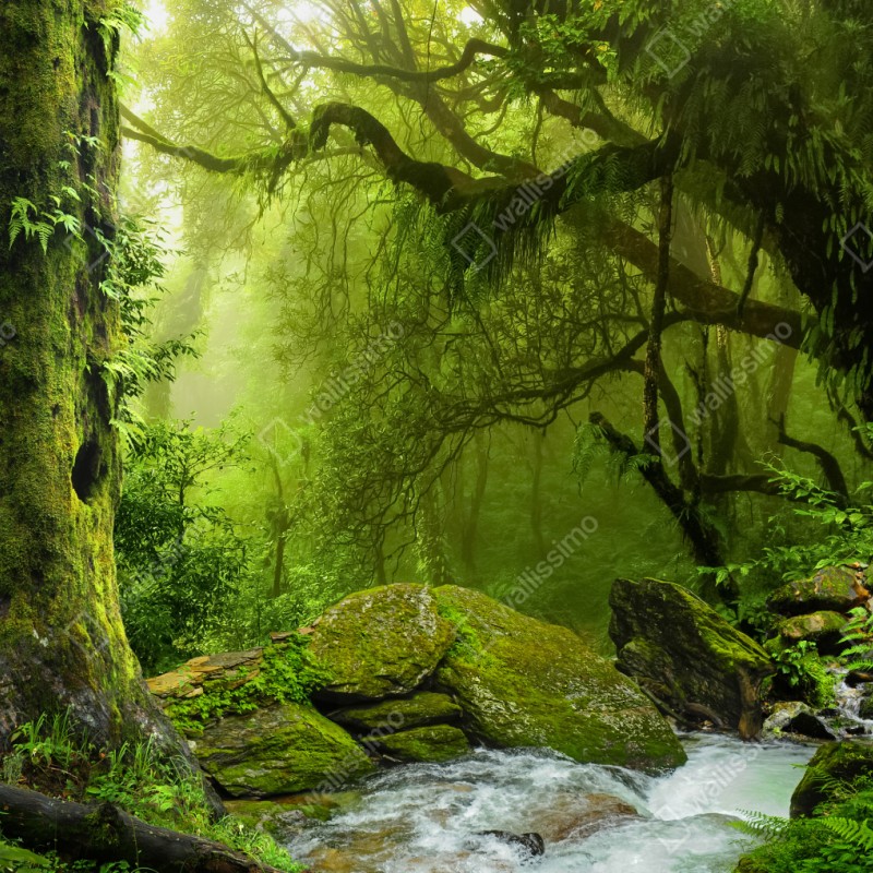 Naklejka repozycjonowalna zaczarowany zielony leśny strumień – Wallissimo® Naklejka repozycjonowalna zaczarowany zielony leśny strumień – Wallissimo®