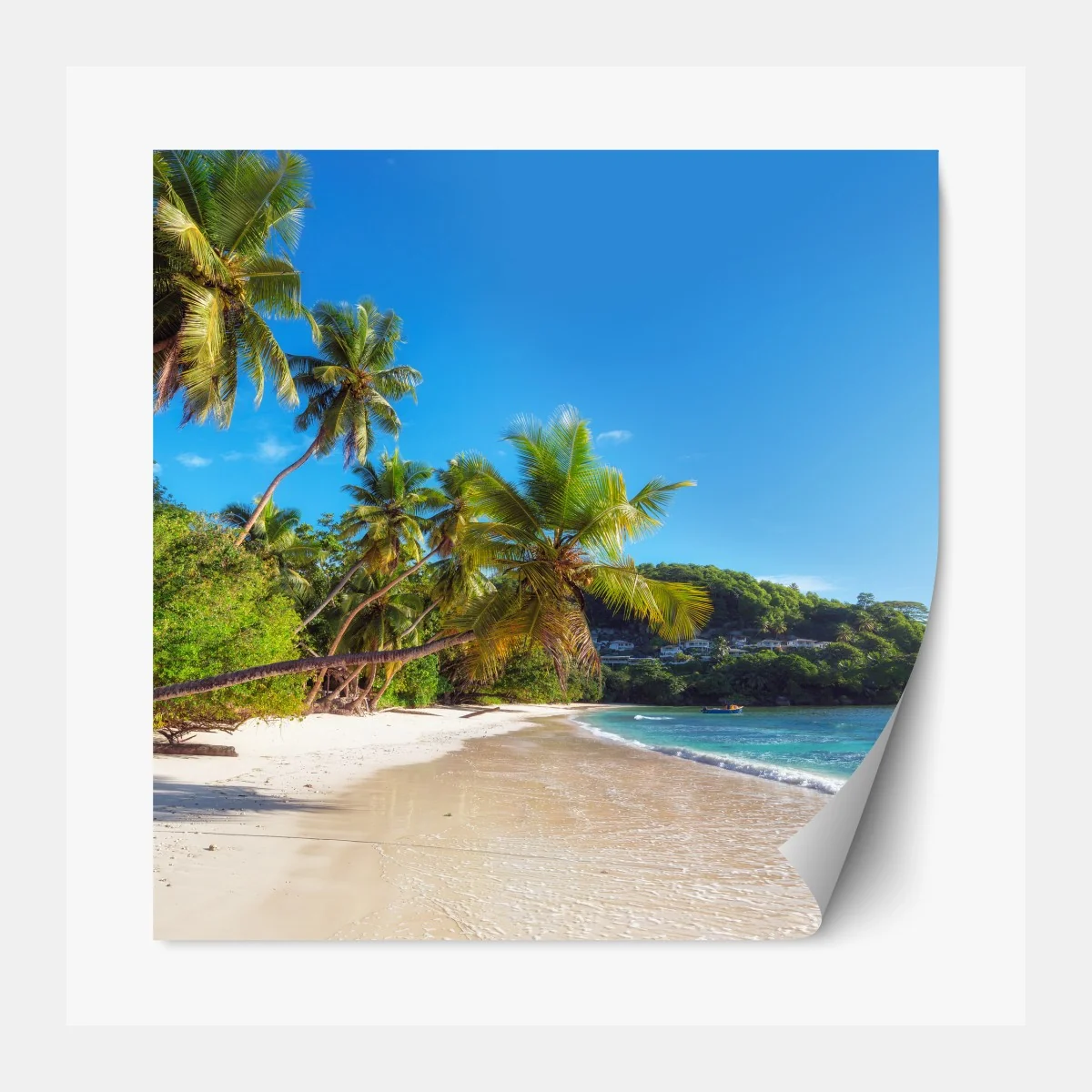 Naklejka repozycjonowalna tropikalna plaża z palmami – Wallissimo® Naklejka repozycjonowalna tropikalna plaża z palmami – Wallissimo®