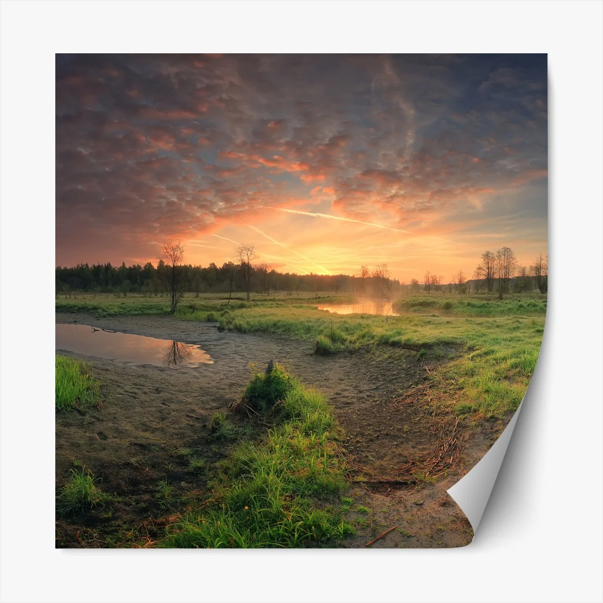 Naklejka repozycjonowalna zachód słońca nad spokojną łąką – Wallissimo® Naklejka repozycjonowalna zachód słońca nad spokojną łąką – Wallissimo®