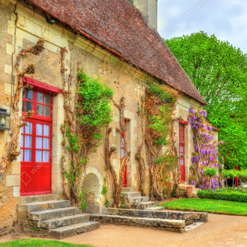 Naklejka repozycjonowalna uroczy domek z kwitnącą glicynią – Wallissimo® Naklejka repozycjonowalna uroczy domek z kwitnącą glicynią – Wallissimo®