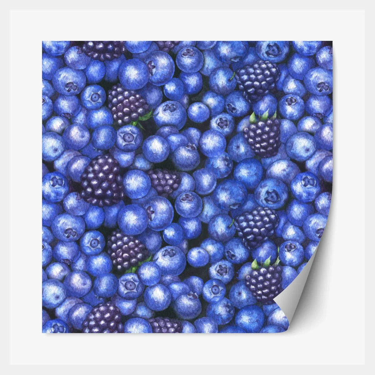 Naklejka repozycjonowalna wzór akwarelowy z borówkami i jeżynami – Wallissimo® Naklejka repozycjonowalna wzór akwarelowy z borówkami i jeżynami – Wallissimo®