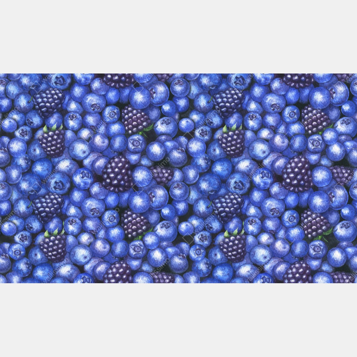 Naklejka repozycjonowalna wzór akwarelowy z borówkami i jeżynami – Wallissimo® Naklejka repozycjonowalna wzór akwarelowy z borówkami i jeżynami – Wallissimo®