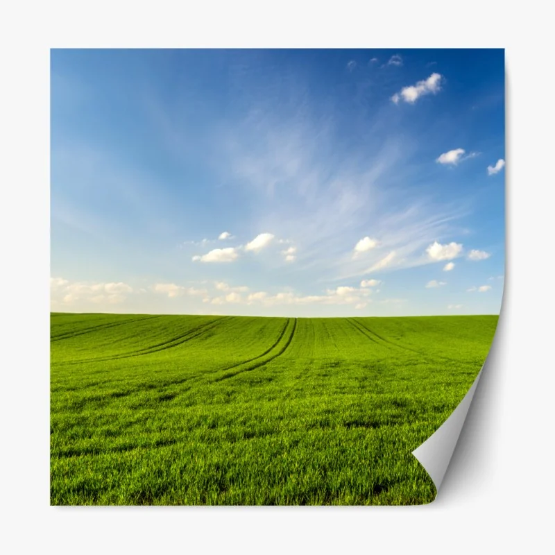 Naklejka repozycjonowalna turkusowy dmuchawiec z bliska – Wallissimo®