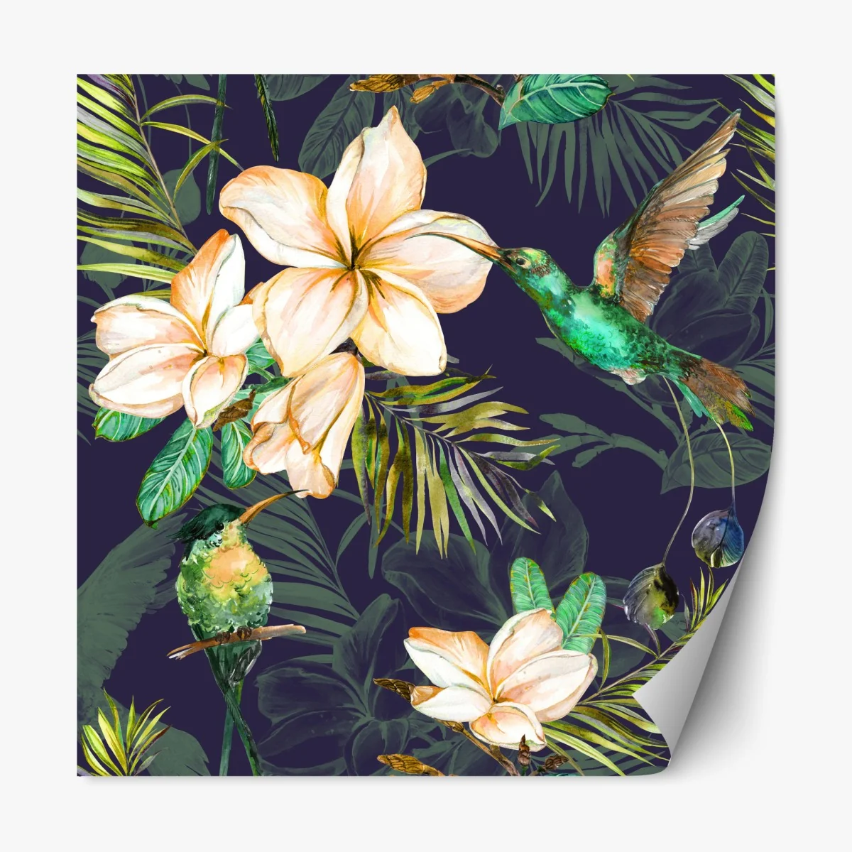 Naklejka repozycjonowalna tropikalne kolibry i plumeria w akwareli – Wallissimo® Naklejka repozycjonowalna tropikalne kolibry i plumeria w akwareli – Wallissimo®