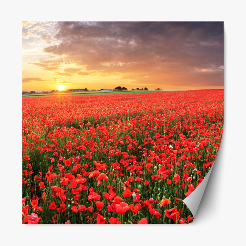 Naklejka repozycjonowalna minimalistyczny wzór kropek – Wallissimo®