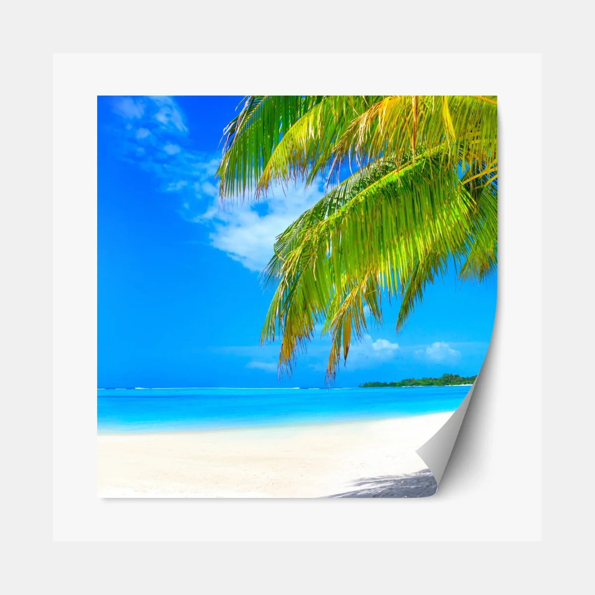 Naklejka repozycjonowalna tropikalna turkusowa plaża – Wallissimo® Naklejka repozycjonowalna tropikalna turkusowa plaża – Wallissimo®