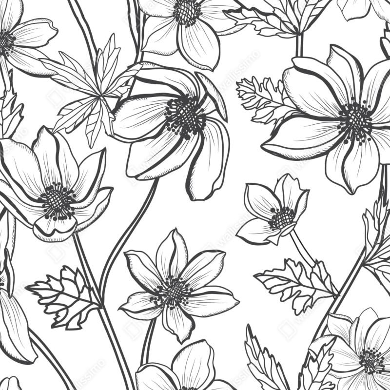 Naklejka repozycjonowalna botaniczny rysunek kwiatowy – Wallissimo® Naklejka repozycjonowalna botaniczny rysunek kwiatowy – Wallissimo®