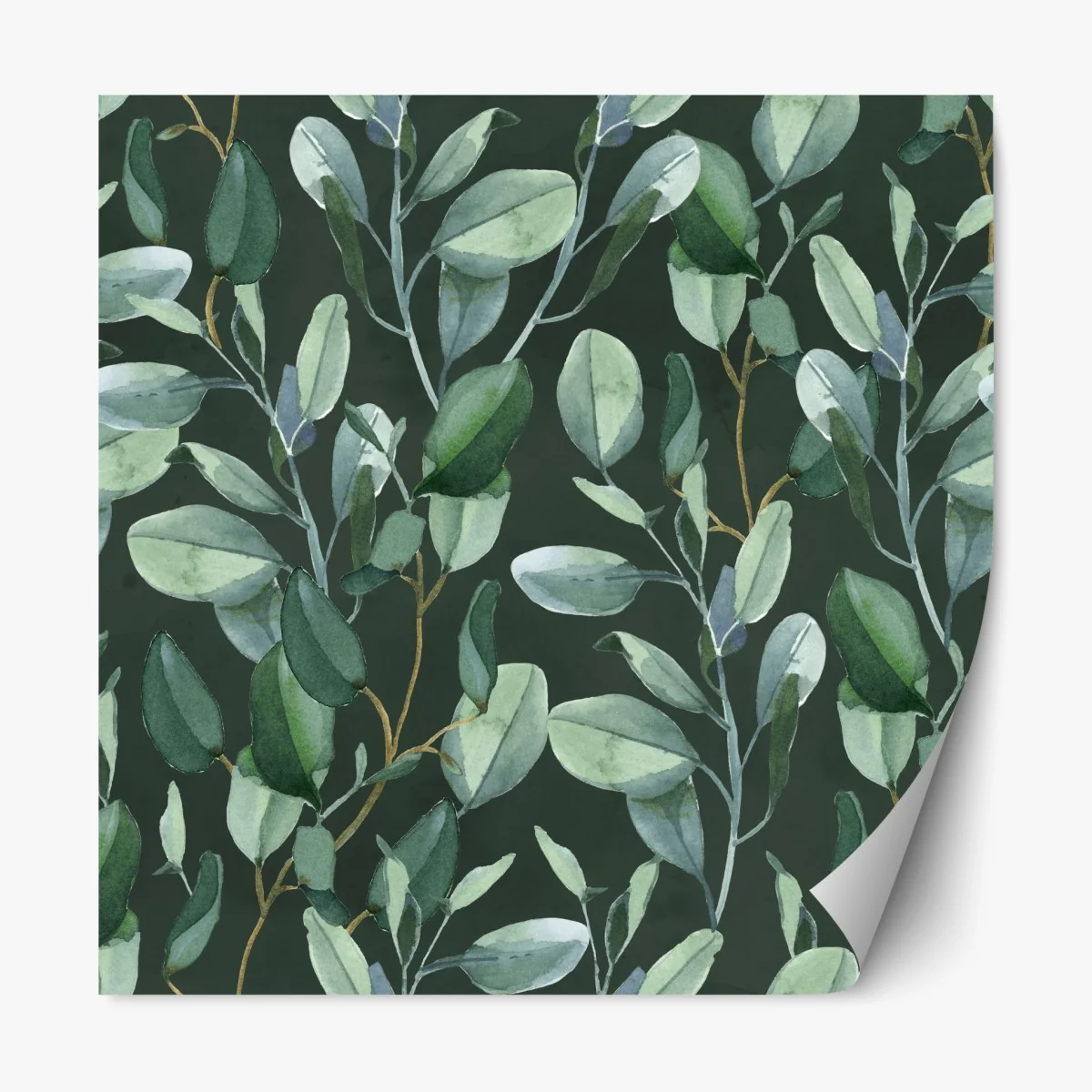 Naklejka repozycjonowalna wzór akwarelowy z liśćmi eukaliptusa na ciemnozielonym tle – Wallissimo® Naklejka repozycjonowalna wzór akwarelowy z liśćmi eukaliptusa na ciemnozielonym tle – Wallissimo®