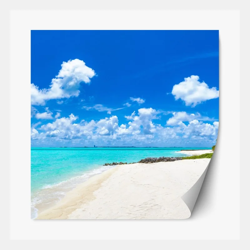 Naklejka repozycjonowalna intensywny pomarańczowy kwiat gerbery z bliska – Wallissimo®