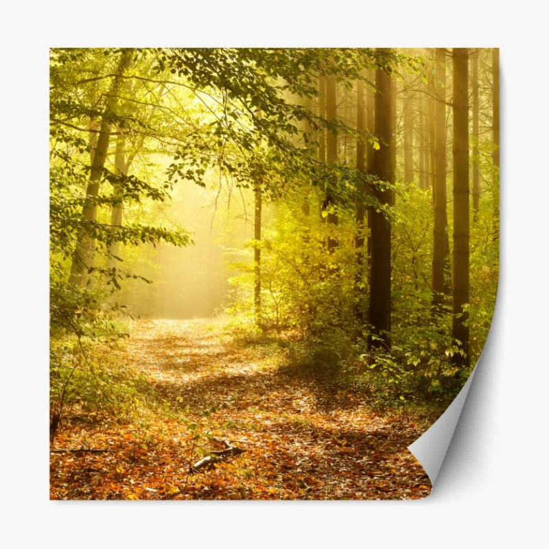 Naklejka repozycjonowalna spokojna plaża Konyaalti, Antalya – Wallissimo®