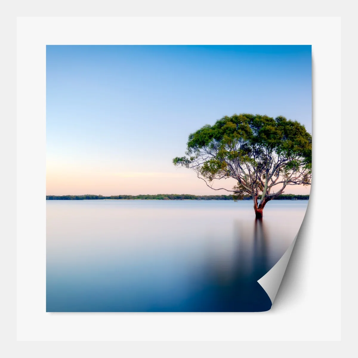 Naklejka repozycjonowalna samotne drzewo nad spokojnym jeziorem – Wallissimo® Naklejka repozycjonowalna samotne drzewo nad spokojnym jeziorem – Wallissimo®